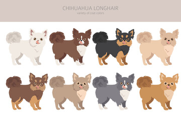  Chihuahua dogs different coat colors. Chihuahuas characters set