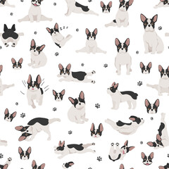 Wall Mural - French bulldog seamless pattern. Dog healthy silhouette and yoga poses background