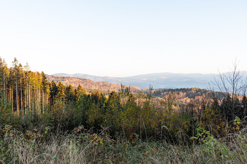 Wall Mural - Landscape misty panorama. Fantastic dreamy sunrise on rocky mountains with view into misty valley below. Foggy clouds above forrest. View below to fairy landscape. Foggy forest hills.