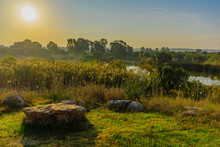 Morning View Over Wetland, In En Afek Nature Reserve