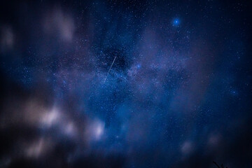 Wall Mural - overhead milky way with stars in clear summer night. country side.