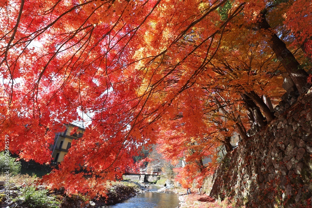 奈良県 天川村龍泉寺の紅葉 Las Naklejki Ecowall24 Pl