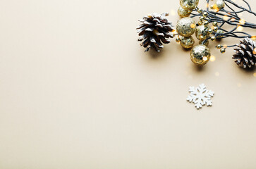 Wall Mural - new year's composition with cones