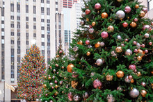 Christmas Tree In Rockefeller Center, New York, USA