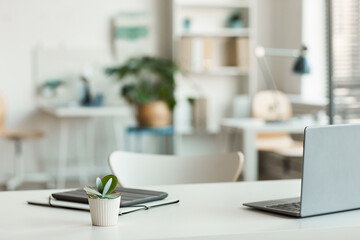 minimal background image of inviting empty workplace with white desk and succulent plant in foregrou