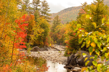 autumn in the mountains