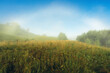 © Evgenii Ryzhenkov - morning fog in the field