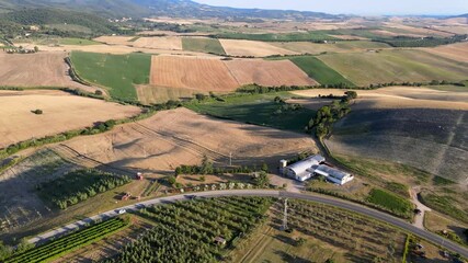 Wall Mural - Overhead aerial view of Lavender Fields in the countryside, summer season, drone viewpoint