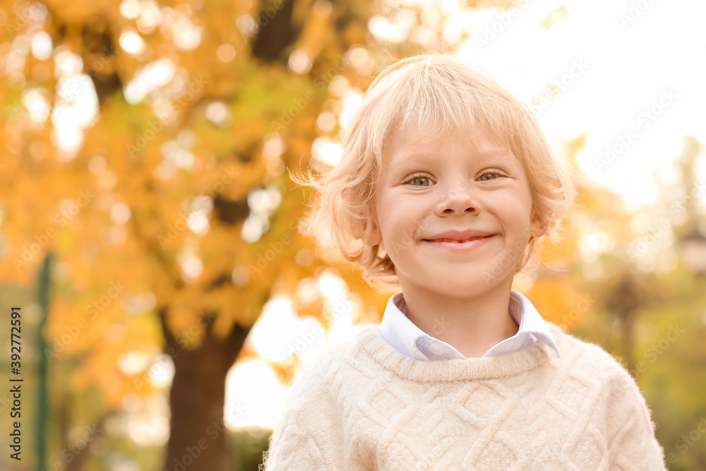 Cute little boy in autumn park