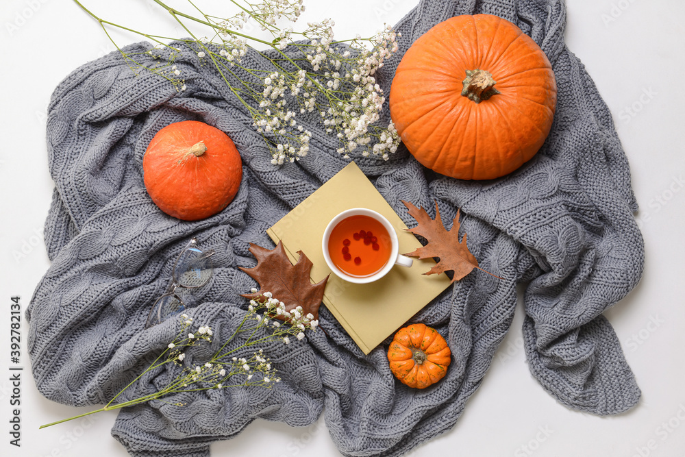 Autumn composition with plaid, pumpkins, tea and book on white background