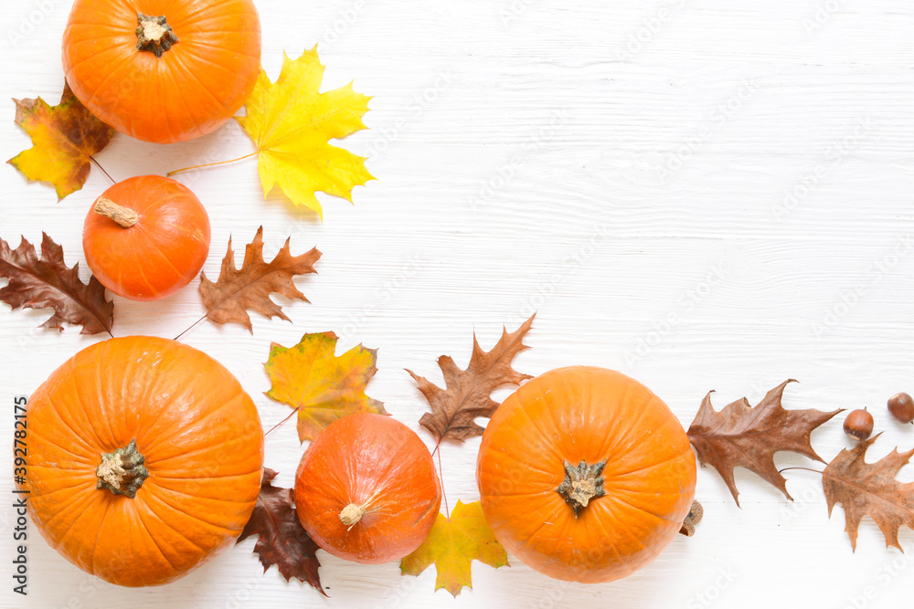 Beautiful autumn composition on white wooden background