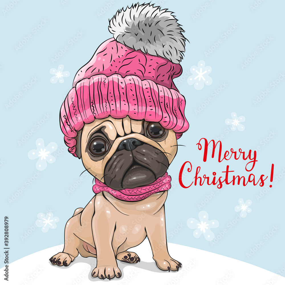 Cartoon Pug Dog in a pink hat and scarf - obrazy, fototapety, plakaty 