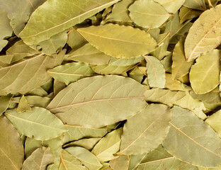 Wall Mural - Dried bay leaves texture background.