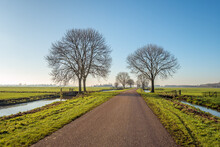 Landscape In The Dutch Region Of Alblasserwaard With A Seemingly Endlessly Long Country Road. Bare Trees Line The Ditches. It Is Winter And A Thin Layer Of Ice Is On The Smooth Water Surface.