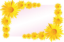 Yellow Daisy Flowers Corner Arrangement On Pink And White Gradient Background