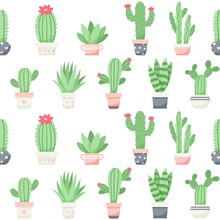 Cute Cactus And Succulents Pattern, Vector Illustration In Flat Style