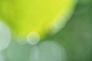 abstract green background