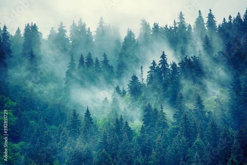  Obrazy powiększające wnętrze   mglisty-krajobraz-gorski