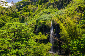 Wall Mural - Anse des Cascades waterfalls in Sainte-Rose on Reunion Island