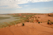 Rolling Green Dunes After Uncharacteristically Good Rains In The  Namib Desert