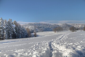 Sticker - Spuren im Schnee