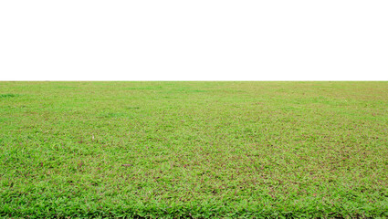 Wall Mural - green grass field on white background