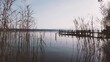 Kamera Kran Bewegung im Schilf am Starnberger See an einem sonnigen Herbsttag