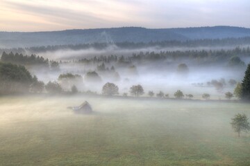 Canvas Print - Landschaft im Nebel 4