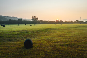 Wall Mural - Farming Field at Hazy Autumnal Morning