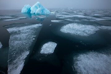 Wall Mural - icebergs, svalbard, norway