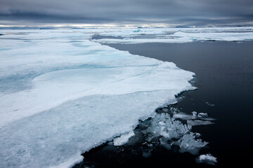 Wall Mural - sea ice, svalbard, norway