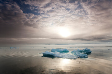 Wall Mural - melting sea ice, svalbard, norway