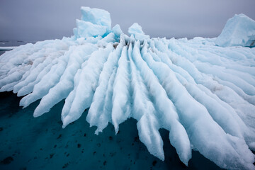 Wall Mural - sea ice, svalbard, norway