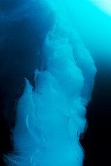 Wall Mural - Underwater Iceberg, Svalbard, Norway