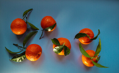 Tangerines with leaves over the light blue background. View from above.