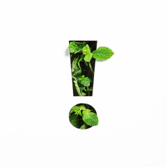 Exclamation mark of green natural mint, cut paper isolated on white. Menthol font. Warning and keep attention concept