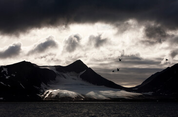 Wall Mural - mountain peaks, prins karls forland, svabard, norway