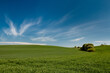 Pola zbóż, błękitne niebo, zielone pola.