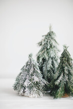 Christmas Scene, Miniature Winter Forest. Christmas Little Snowy Handmade Pine Trees