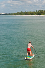 back view, far distance f a young couple paddling a paddle boarding calm. tropical water of the gulf of Mexico on sunny afternoon