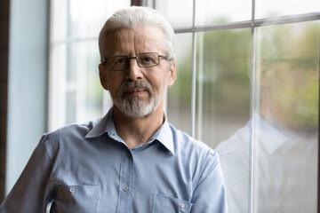 Head shot portrait mature grey haired man wearing glasses standing near window, senior grandfather in spectacles looking at camera, posing for photo at home, elderly generation concept