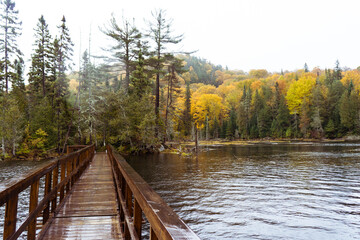  Trapper's trail in Lake Superior Provincial Park, Ontario on a rainy day