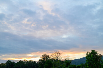 Wall Mural - Sky with clouds during sunset in the evening above the trees, Nature background