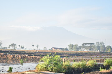 the shadow of mount lawu in the distance in the morning in my village