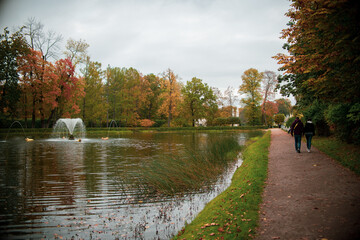 sunny day on the lake in the autumn park 