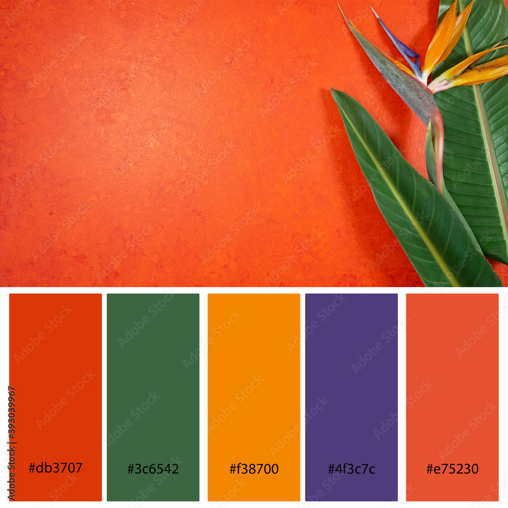 Tropical palette discount