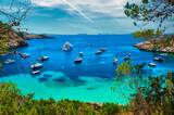 Fototapeta Natura - Sailboats at Cala Salada lagoon. Ibiza, Spain