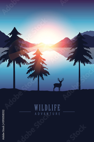 wildlife adventure elk in t...