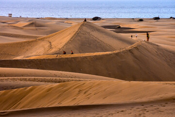 Wall Mural - Desert with sand dunes in Gran Canaria Spain