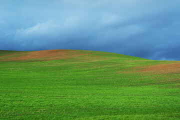 Canvas Print - Hilly field and sky.